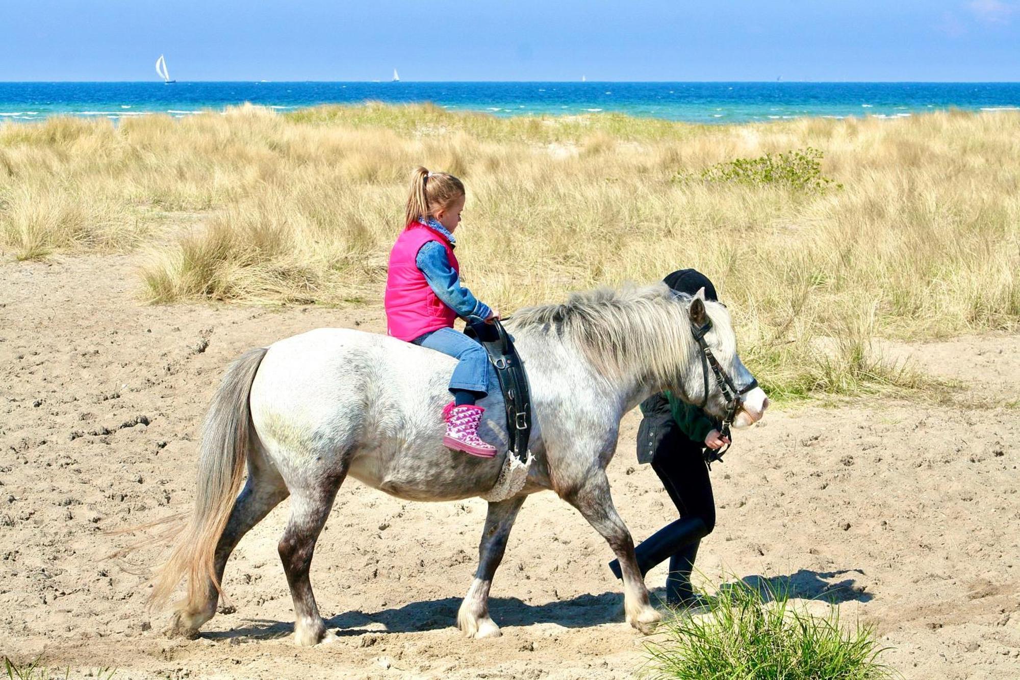 Ferienwohnung Strandliebe Lutterbek Zewnętrze zdjęcie